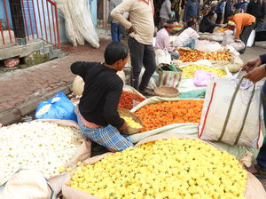 COLOURFUL KOLKATA----MULLIKGHAT FLOWER MARKET