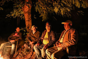 The Kings of the Jungle at the Rajaji National Park