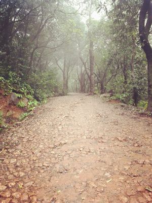 Matheran – The place in your budget