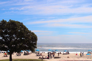 10 Most Unique Sights of Cape Town