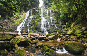 Tasmania - Experience the experience