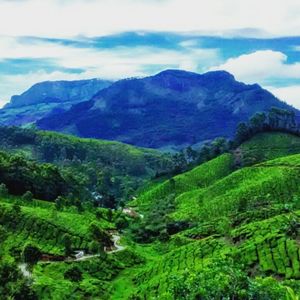 Chilling bike trip to Munnar