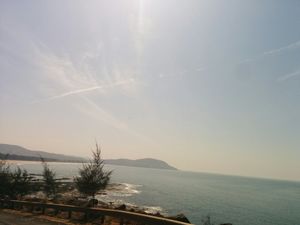 Diveagar Diaries!
