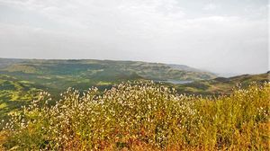 One day trek from Pune and Mumbai: Rajmachi Fort trek!!!