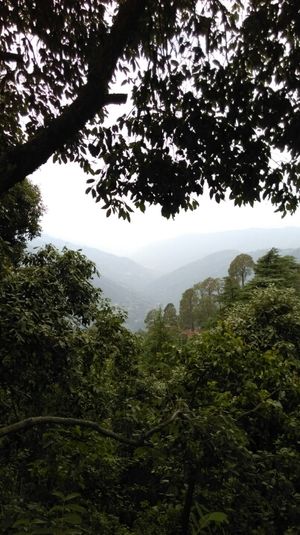 Beat the heat with a weekend trip to Garhwal
