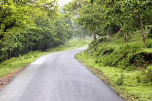 Weekend trip to Bandipur Tiger Reserve