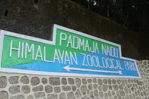 Padmaja Naidu Himalayan Zoological Park 1/undefined by Tripoto