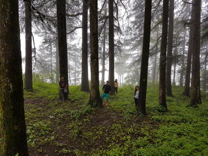 7 things an official trip to Kanatal taught me about life