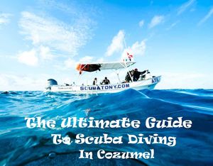 THE ULTIMATE GUIDE TO SCUBA DIVING IN COZUMEL