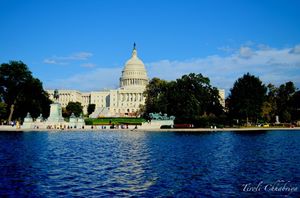 Power and Politics - Washington DC