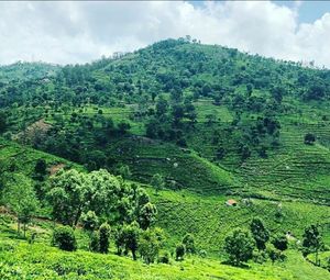 Ooty - Queen of Hill Stations - Southern India