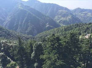 Sach pass - Where courage fears to speak even...