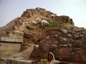 Tughlakabad : Ozymandias of Delhi