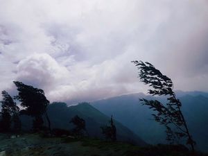 Kolukkumalai Tea Estate 1/21 by Tripoto