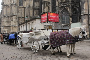 "Winter Budget Trip to Europe" 6 cities & 20 days – Eastern, Central & Western Europe