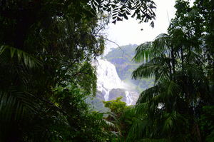 Castlerock to Dudhsagar Waterfalls