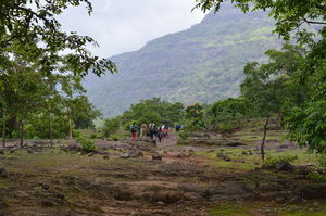 Trek To The Mystic Jungles of Bhimashankar