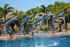 Sea World 1/13 by Tripoto