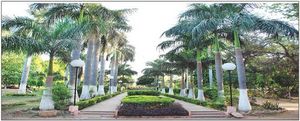 Phool Bagh 1/1 by Tripoto
