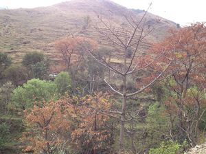 Adventure of a life time (AHFOD) - Parashar Lake