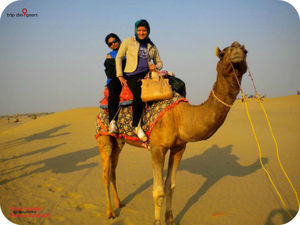 Jaisalmer— Poetry in sandstone