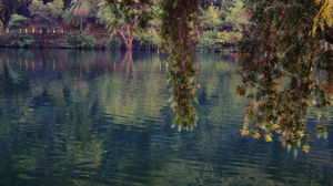 Renuka Lake, Himachal Pradesh