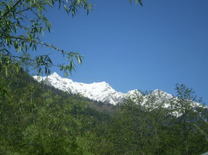 Incredible India – Majestic Manali