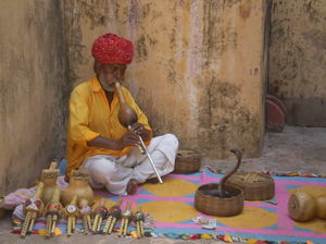 Royal Prestige of India: Jaipur, Rajasthan
