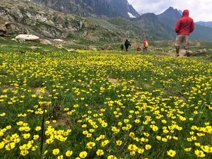 All you need to know about the Great Lakes of Kashmir trek