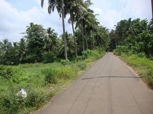 'EXPLORING' different routes to a single place