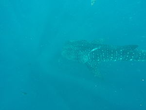 Land, sea and sky adventure in 48 hours