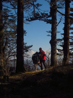 Not All who Wander are Lost