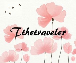 Two Sides of Travel