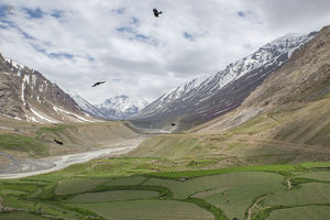 9 Destinations in India Worth Ditching Ladakh For