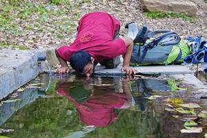 Nag Tibba Revisited