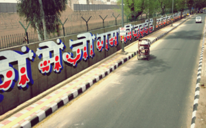 India's Largest Mural Is On Tihar Jail's Boundary Wall