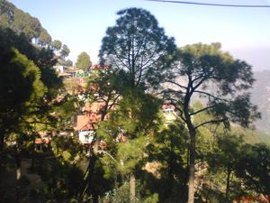 What makes Kasauli a perfect weekend spot?