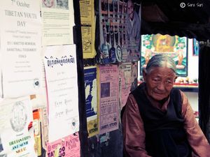 Mcleodganj: The Untold Story of Every Tibetan Refugee
