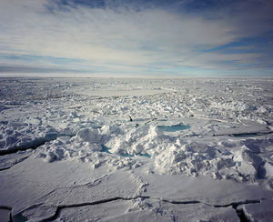 3 Reasons why You Should Travel to the North Pole