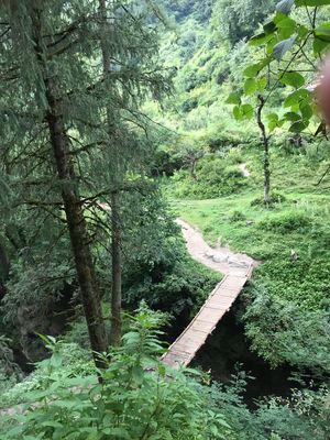 The hippie trippie trail to Kheer Ganga