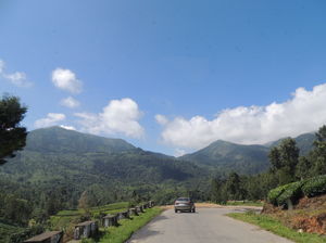Kerala Diaries - Munnar