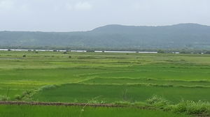Alibaug the palaces of beach.