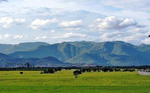 Pachamalai Hills 1/1 by Tripoto