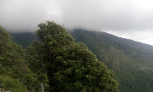 Triund-in the lap of nature