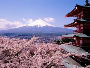 Safest International Destinations for Solo Female Travellers