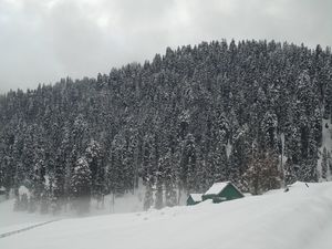 Gulmarg Gondola 1/39 by Tripoto