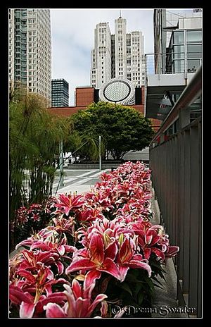 San Francisco Museum of Modern Art 1/1 by Tripoto