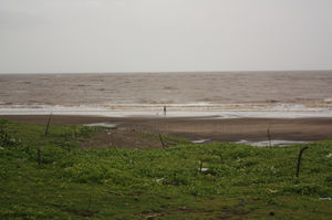 Bordi beach : The Weekend Getaway From Mumbai