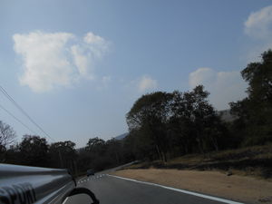 Masinagudi - A Wild Affair