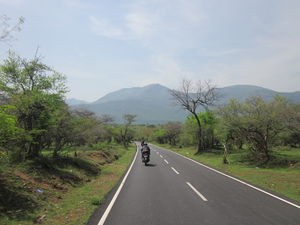 Kotagiri- Where Blue Mountains Turn Green